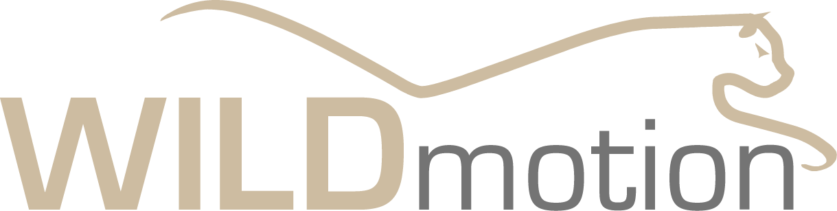 logo wildmotion